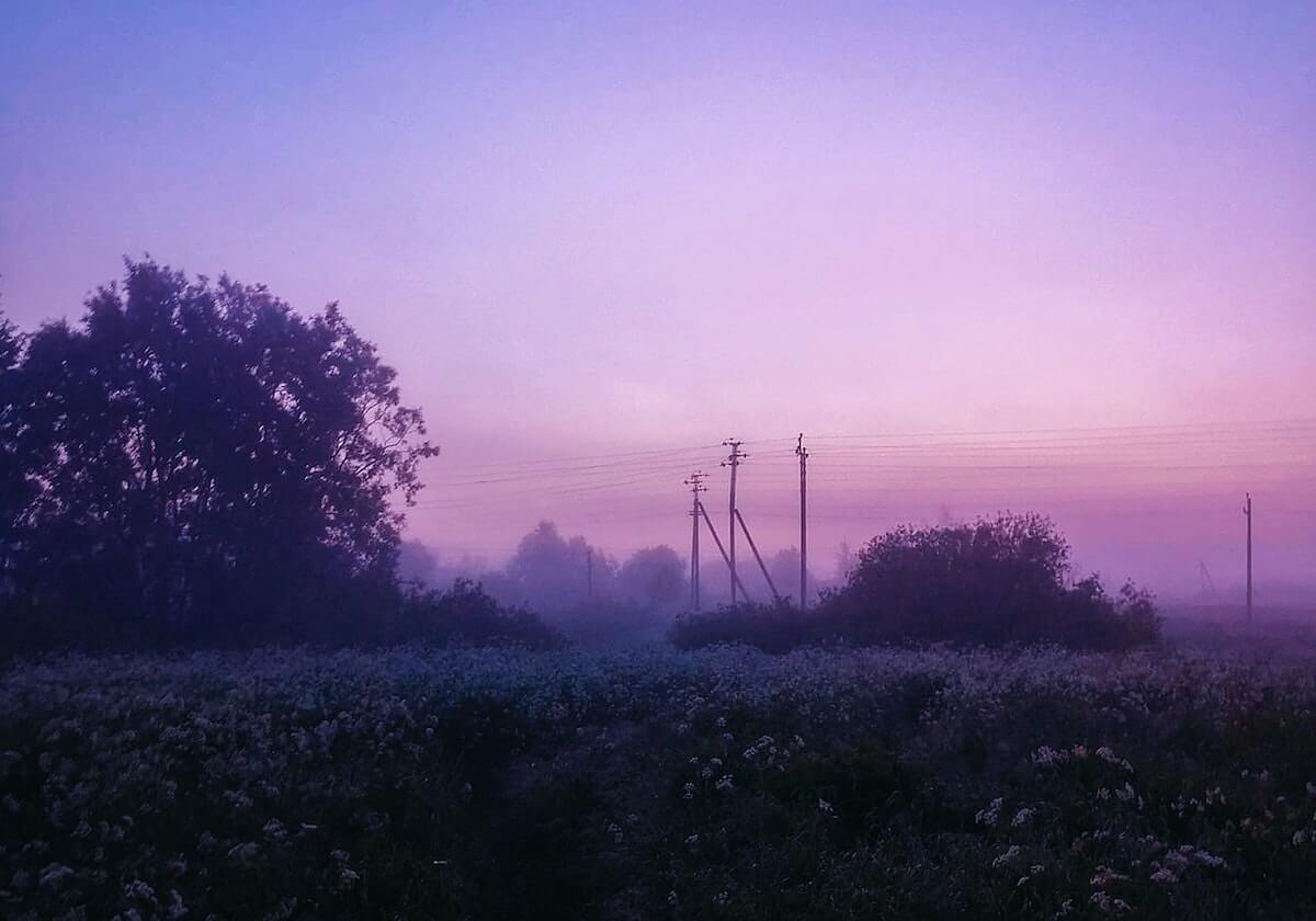 九游体育平台-沈阳队组队有星味也有烟火气